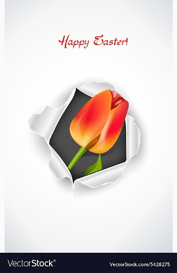 Spring background vector image