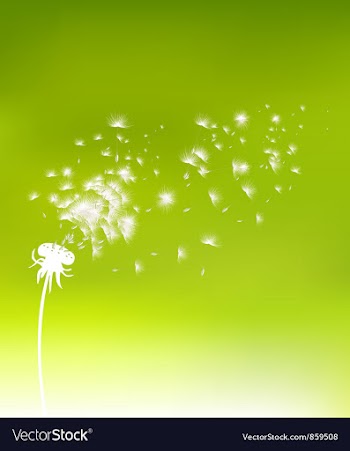 Spring background vector image