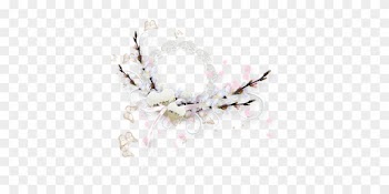 Spring, Bloom, Spring Flower, Nature, Flowers - Flower