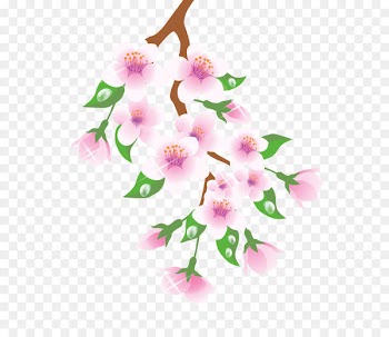 Spring Branch Clip art - Spring Branch Pink PNG Clipart 