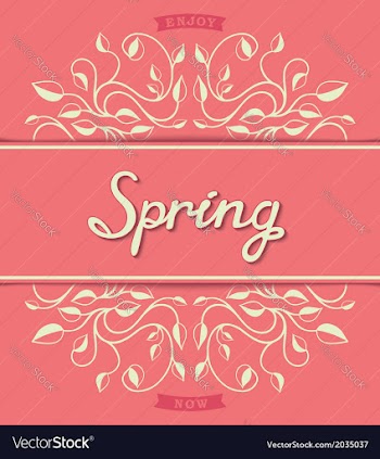 Spring card with floral pattern vector image