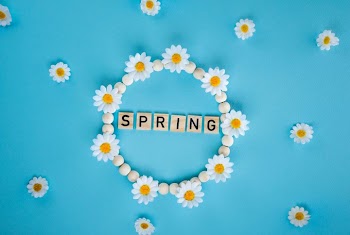 Spring Celebration with Daisies and Wooden Letters