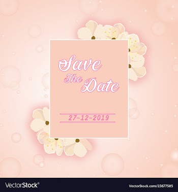 Spring cherry blossom wedding frame vector image