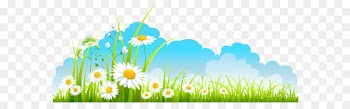 Spring Clip art - Spring Decor Sky Grass and Camomile PNG Clipart 
