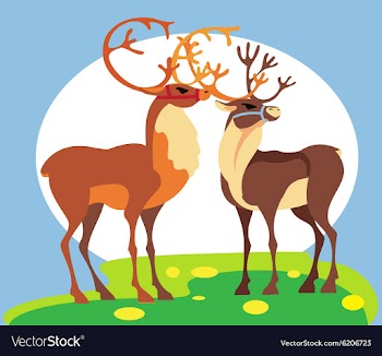Spring deer vector image