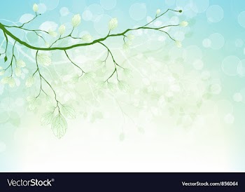 Spring floral ilustration vector image