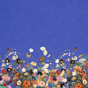 Spring flower border, blue background | Free Photo - rawpixel