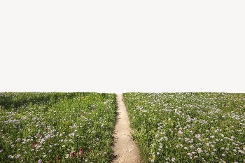 Spring flower field border, nature | Free PSD - rawpixel