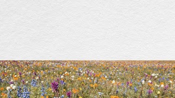 Spring flower field computer wallpaper, | Free Photo - rawpixel