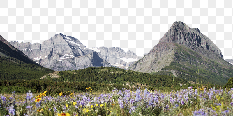 Spring flower field png border, | Free PNG - rawpixel