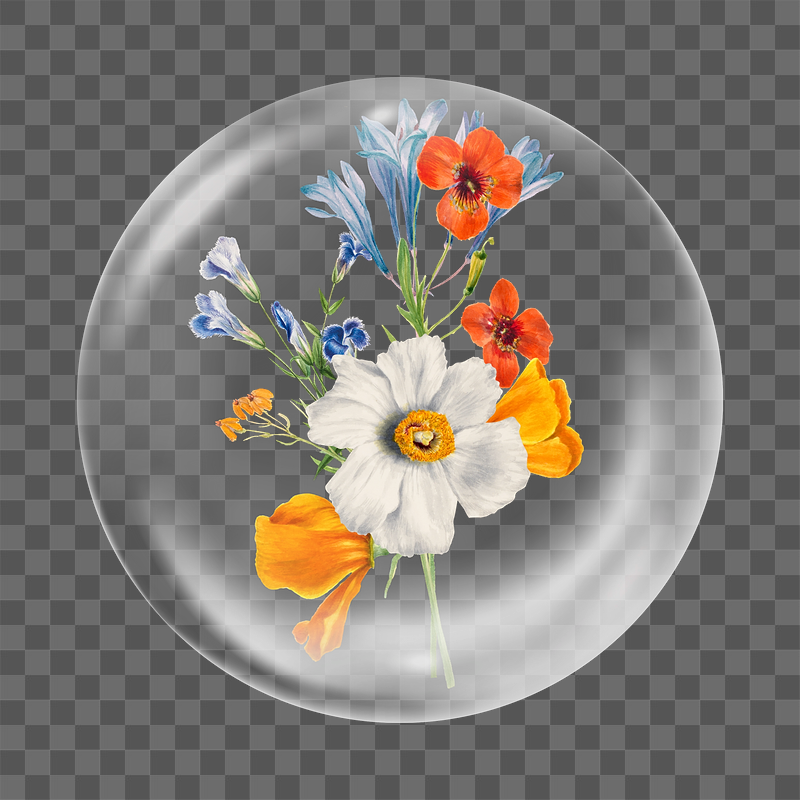 Spring flower png sticker,  | Free PNG - rawpixel