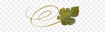 Spring Flowers, Autumn Leaves, Grapes Swirly Mulberry - Vitis