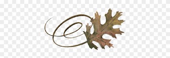 Spring Flowers, Autumn Leaves, Grapes Swirly Pin Oak - Black Oak