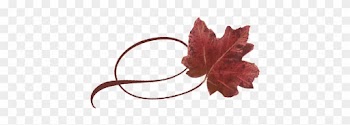 Spring Flowers, Autumn Leaves, Grapes Twisty Red Maple - Maple Leaf