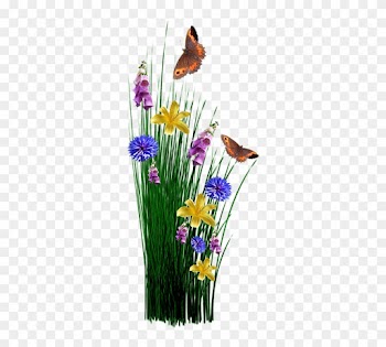 Spring, Flowers, Grass, Meadow, Plant, Garden, Nature - Aswb Supreme Decorative Butterfly And Flowers Welcome