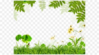 Spring green Leaf Film frame - Green grass leaves border 