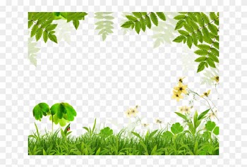Spring Green Leaf Film Frame - Spring Background Border