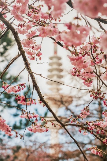 Spring in Hamburg