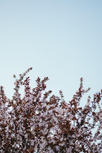 Spring is here! - Download Lightroom preset pack for free: https://bit.ly/2UgqLEJ
Download FREE wallpaper pack: https://bit.ly/2JOHWJk