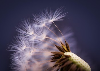 Spring is in the air