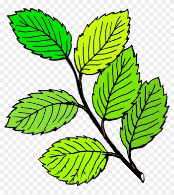 Spring Leaf Clipart Clipart Image - Leaf Black And White