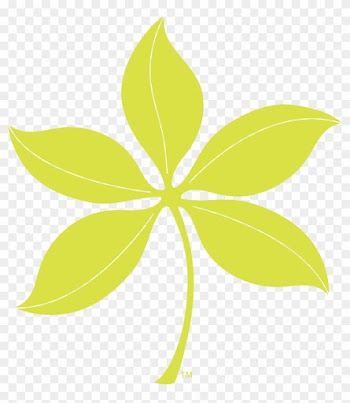 Spring - Microsoft Word