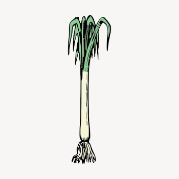 Spring onion clipart, vintage vegetable | Free Vector - rawpixel
