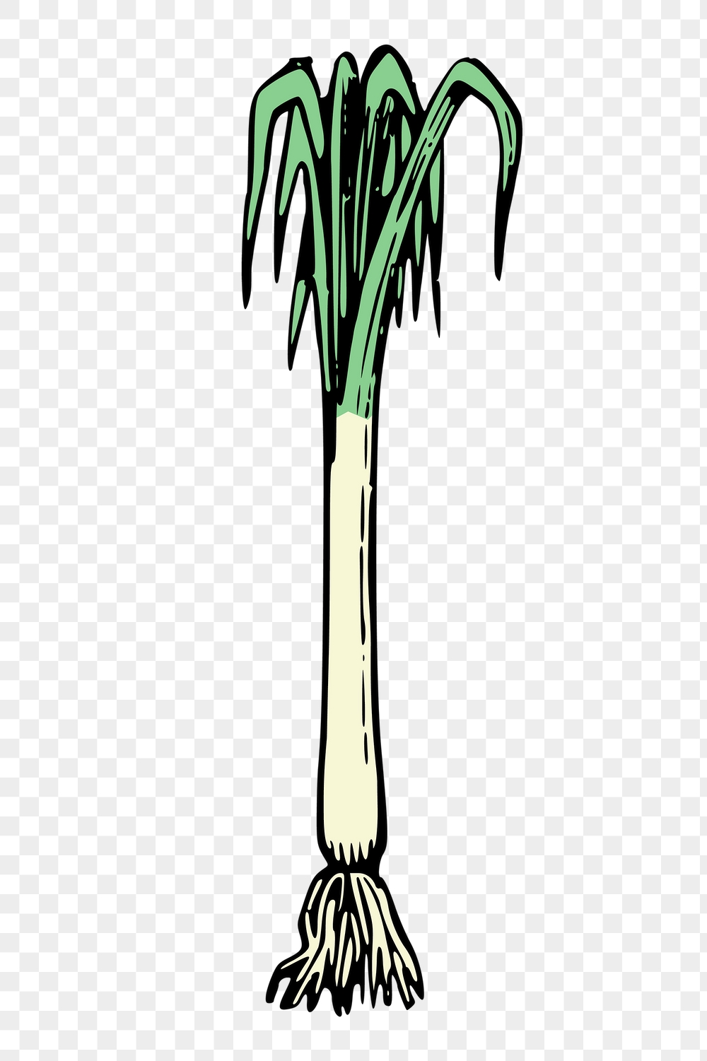 Spring onion png sticker, vintage | Free PNG - rawpixel