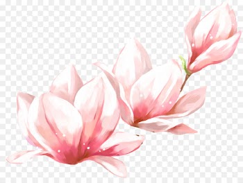 Spring Portable Network Graphics Image Vector graphics Download - free spring 