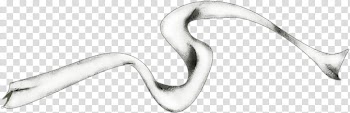 Spring S, white and gray ribbon drawing transparent background PNG clipart