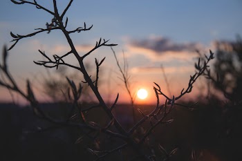 Spring sunset