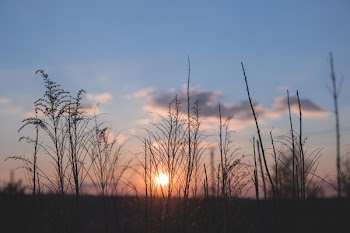 Spring sunset 2