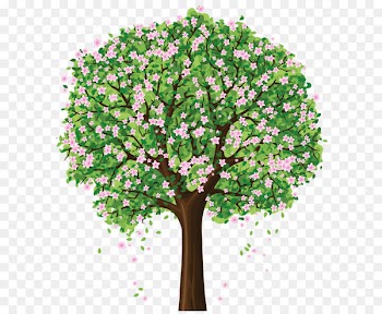 Spring Tree Apartments Springtree Apartments Bedroom Renting - Spring Tree PNG Clipart 