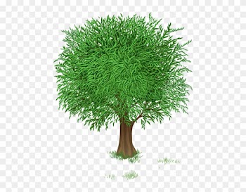 Spring Tree Clipart