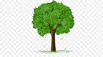 Spring Tree Vector 