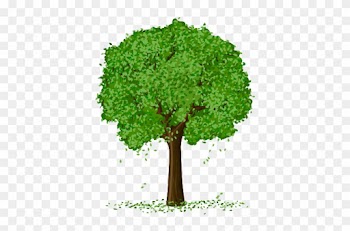 Spring Tree Vector 500*500 Transprent Png Free Download - Apple Tree Transparent Background