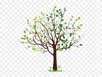 Spring Tree With Snowdrops Png Clipart Picture - Tree Clip Art Png