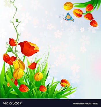 spring tulips
