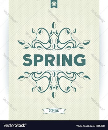 Spring word with leaves swirly vector image