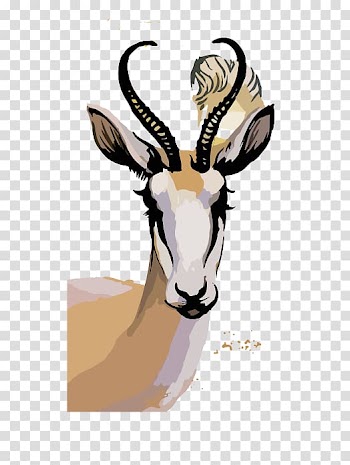 Springbok Watercolor painting Illustration, Sheepshead transparent background PNG clipart