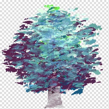 Spruce Christmas ornament Christmas tree Fir Pine, christmas tree transparent background PNG clipart