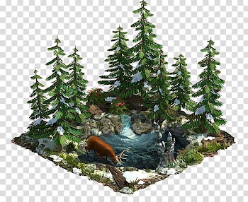 Spruce Christmas ornament Fir Christmas tree Pine, christmas tree transparent background PNG clipart
