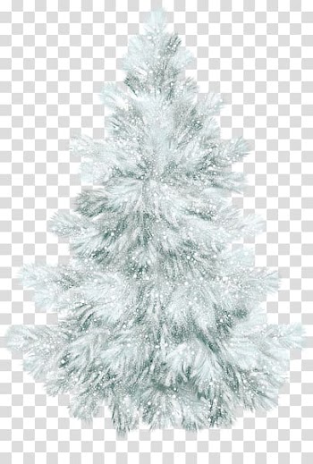 Spruce Christmas ornament Fir Christmas tree Pine, christmas tree transparent background PNG clipart