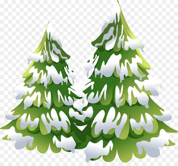 Spruce Fir Tree Drawing Clip art - tree 
