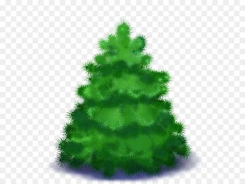 Spruce, New Year Tree, Christmas Day, White Pine, Tree PNG