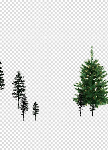Spruce Pine Christmas ornament Fir Christmas tree, Christmas tree transparent background PNG clipart