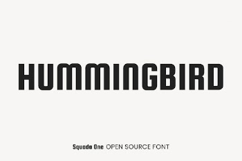 Squada One open source font | Free Font Add-on - rawpixel