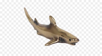 Squaliform sharks Fauna Metal Jaw Ground sharks - cloak clasps pins 