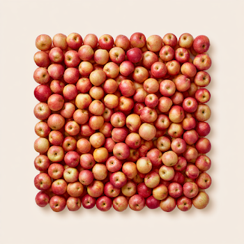 Square Arrangement of Fuji Apples