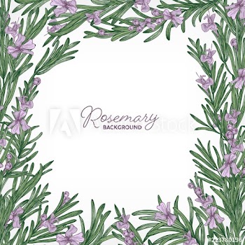 Square backdrop with frame made of rosemary and place for text